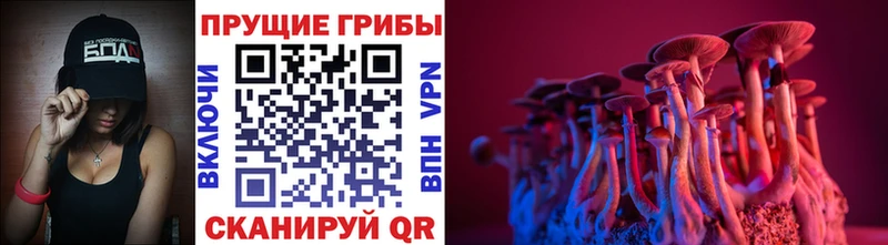 Псилоцибиновые грибы прущие грибы  Власиха 